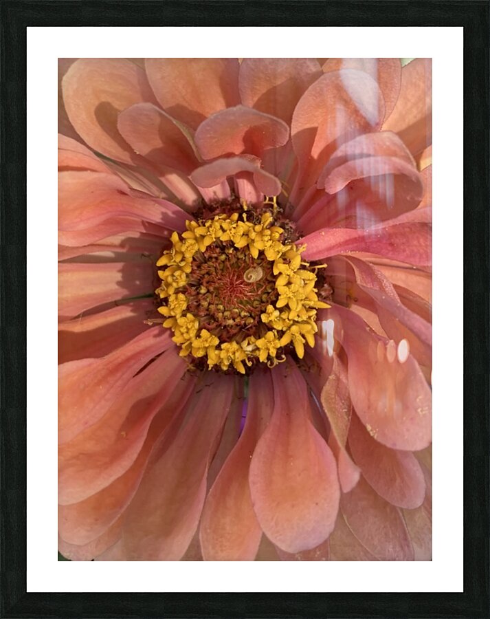 V138 Picture Frame print