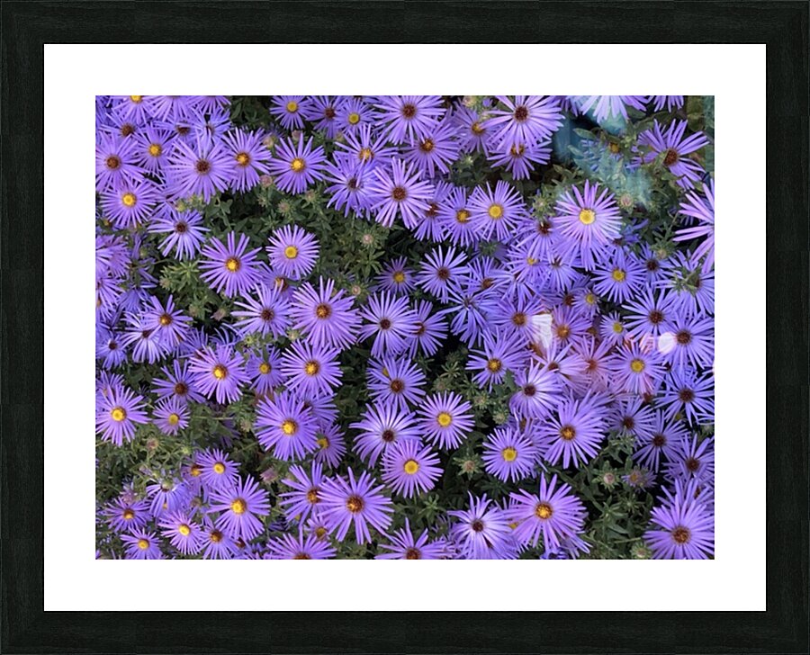 V140 Picture Frame print