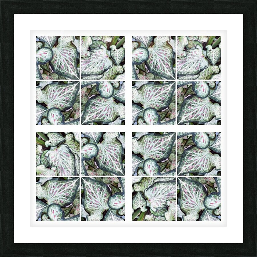 V142 Picture Frame print
