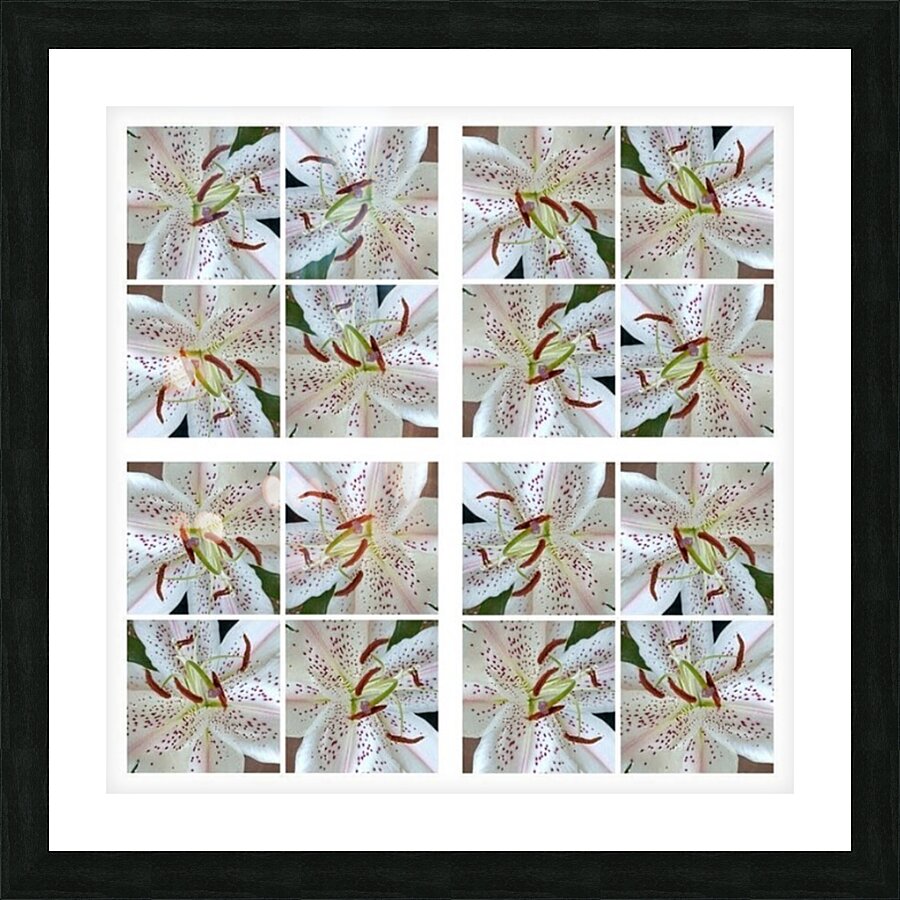 V146 Picture Frame print