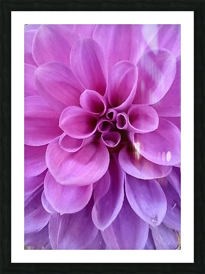 V148 Picture Frame print