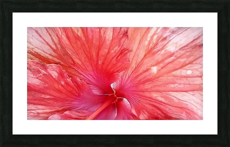 V149 Picture Frame print