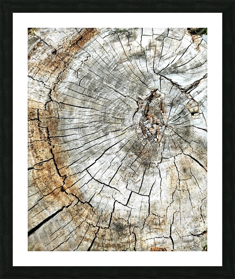 V153 Picture Frame print
