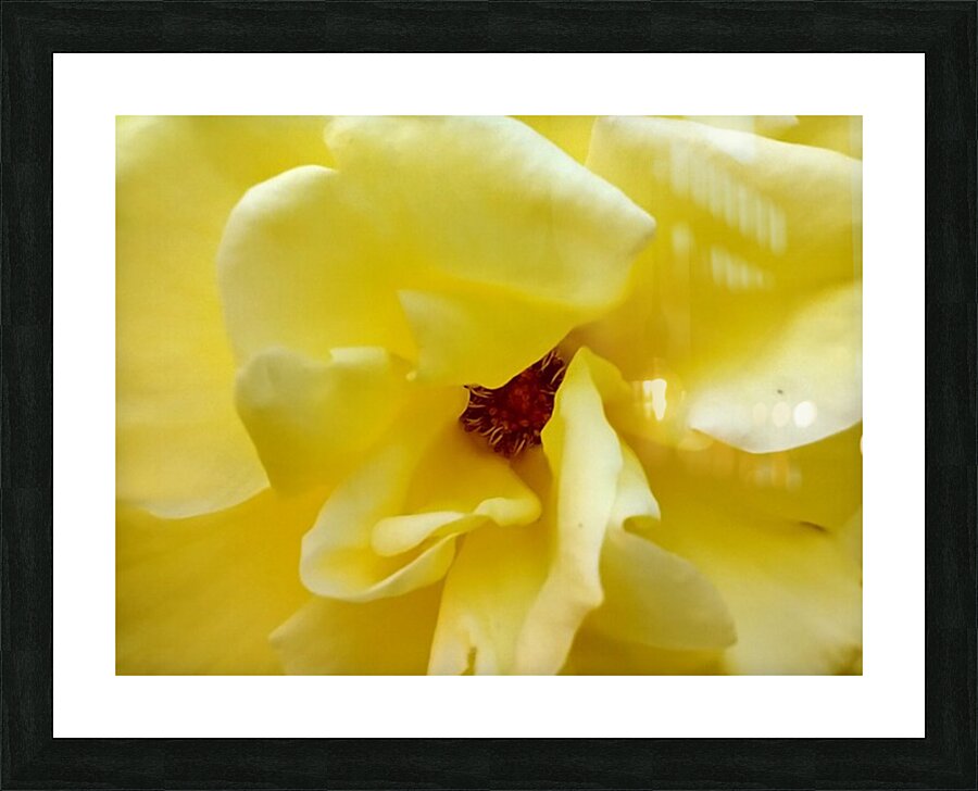 V154 Picture Frame print