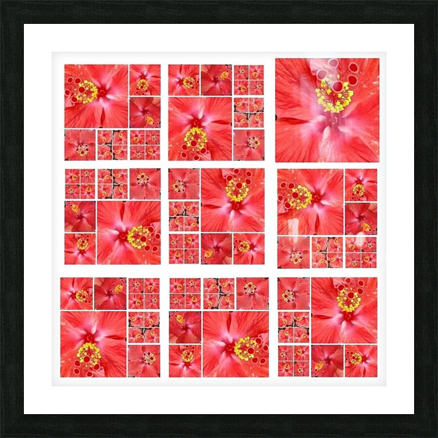 V155 Picture Frame print