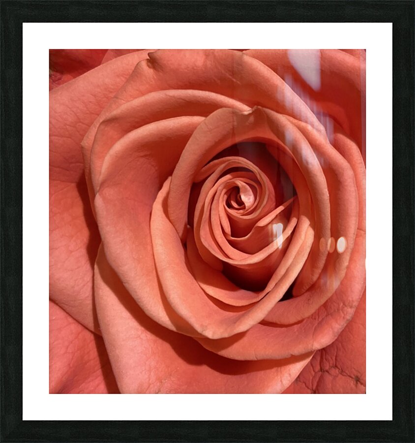 V172 Picture Frame print