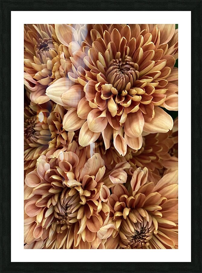V174 Picture Frame print