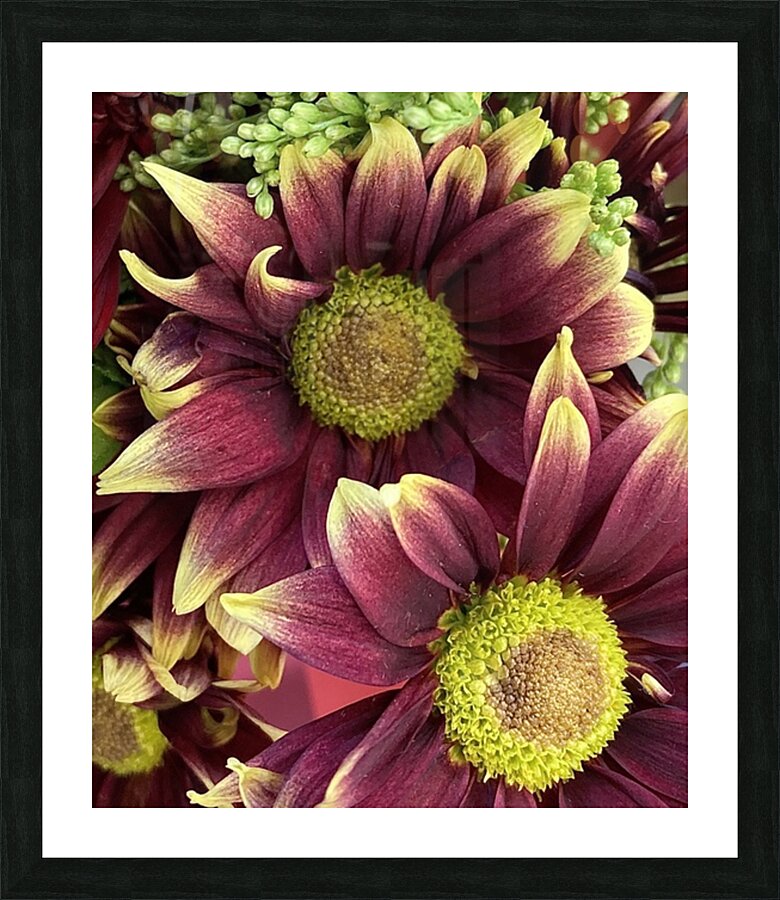 V175 Picture Frame print