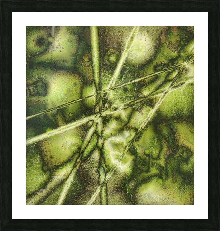 V176 Picture Frame print