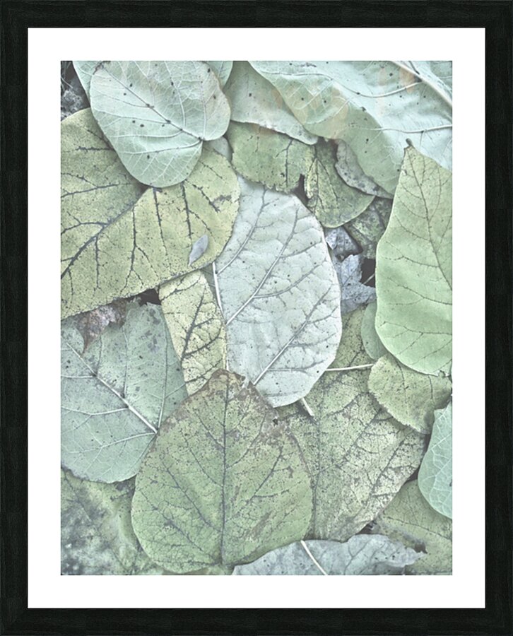 V182 Picture Frame print