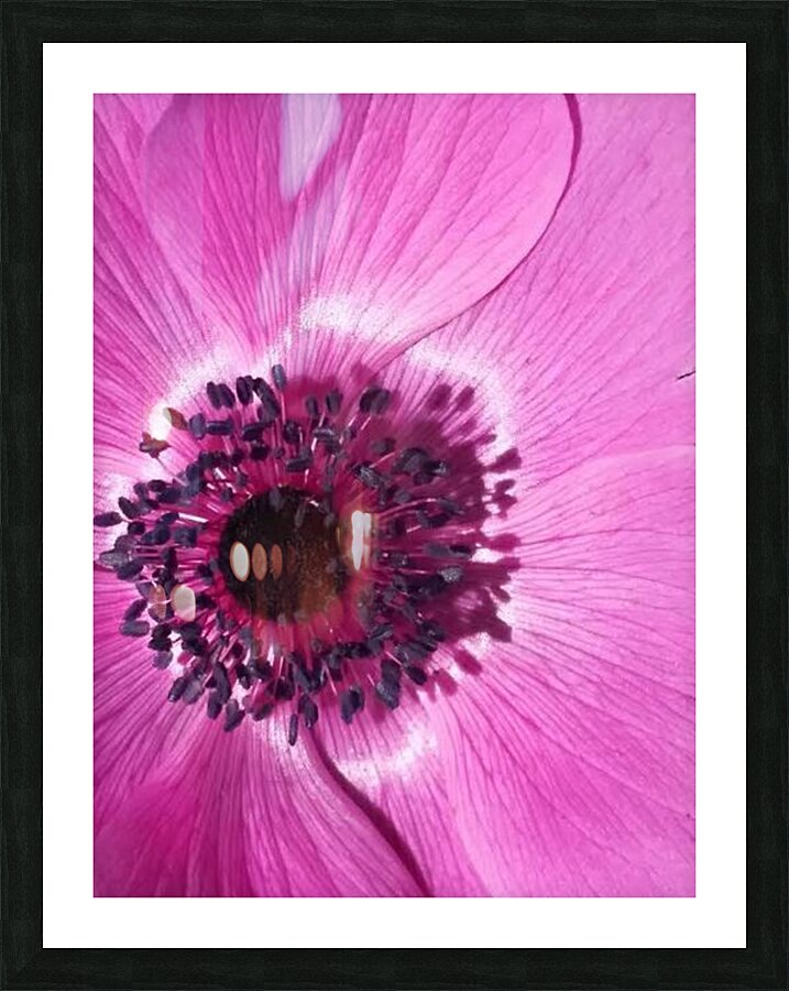 V183 Picture Frame print