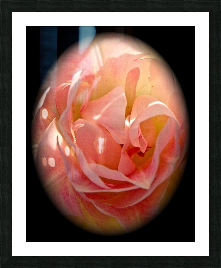 V185 Picture Frame print