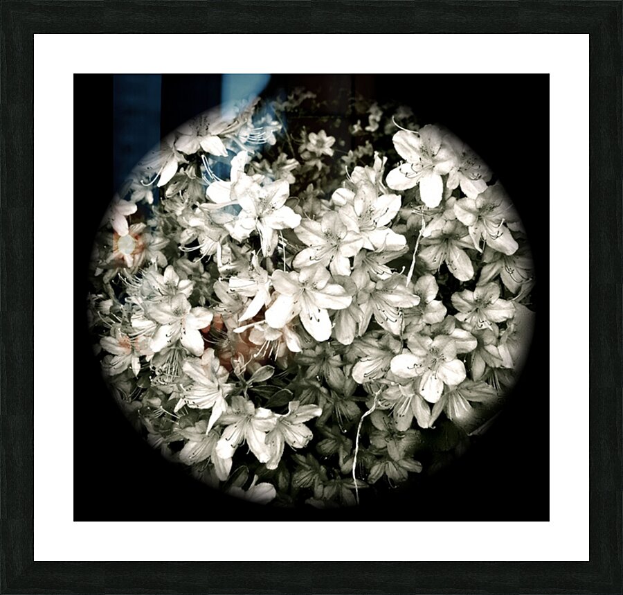 V188 Picture Frame print