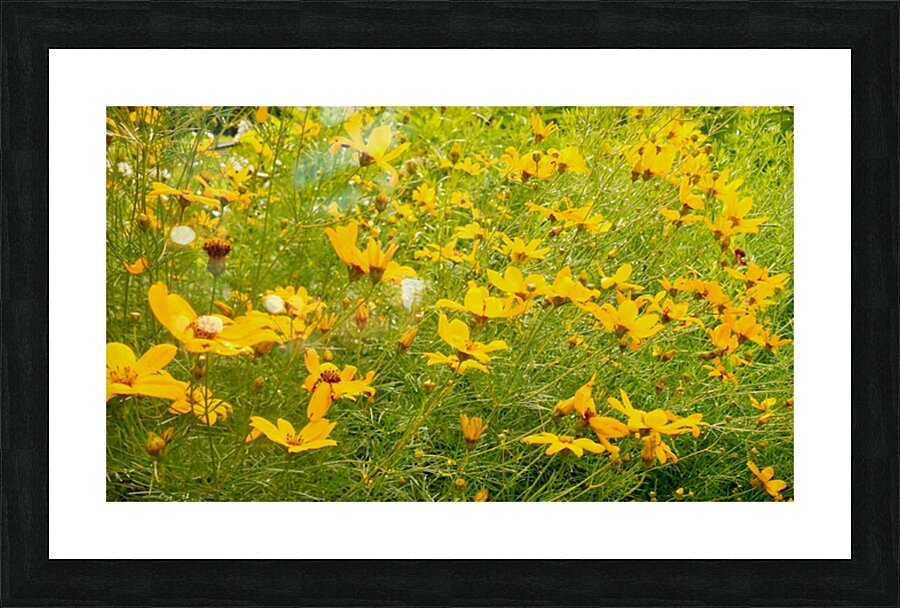 V192 Picture Frame print