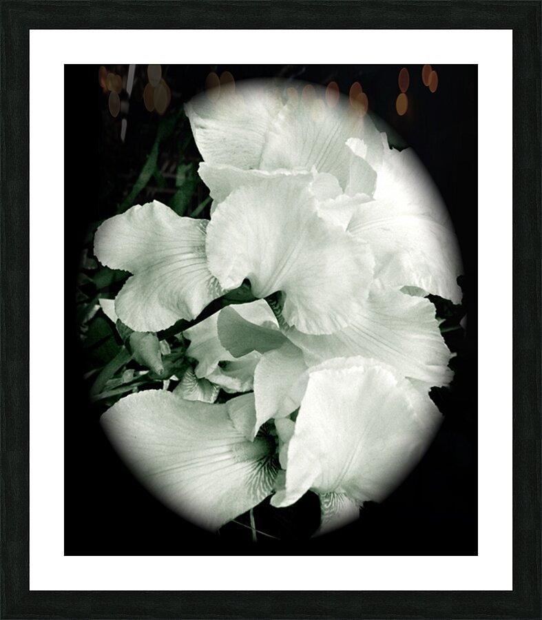 V193 Picture Frame print