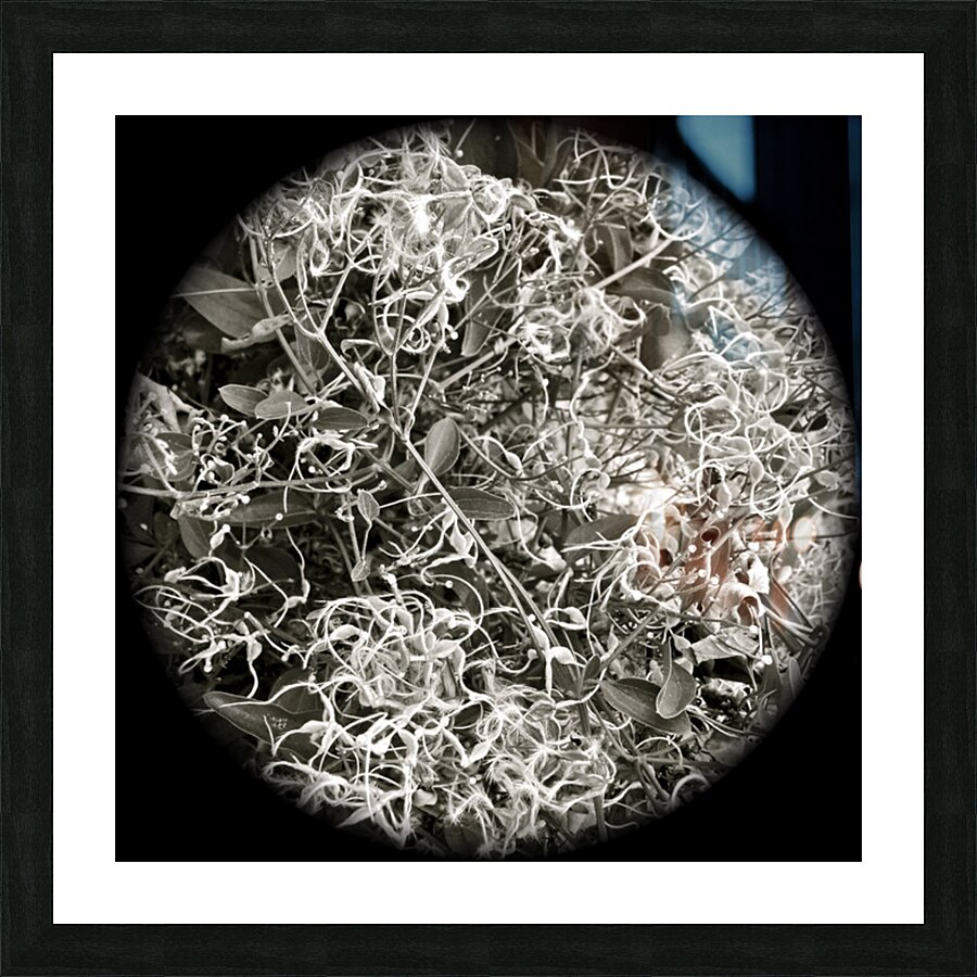 V194 Picture Frame Printing