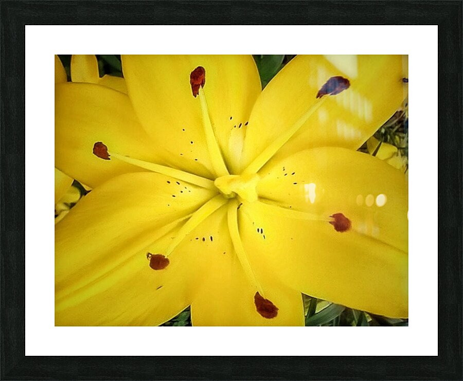 V198 Picture Frame print