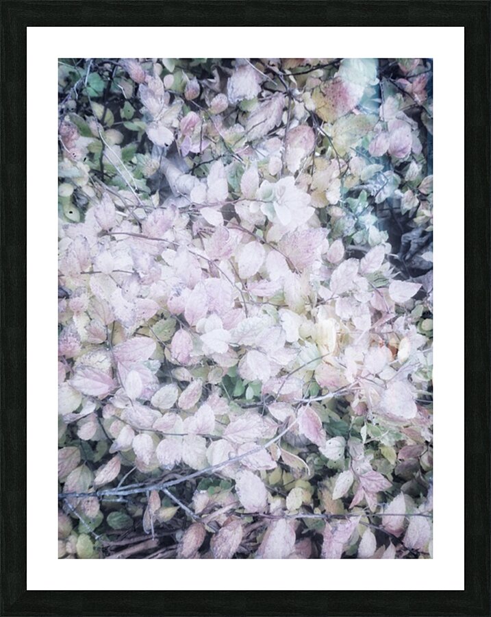 V199 Picture Frame print