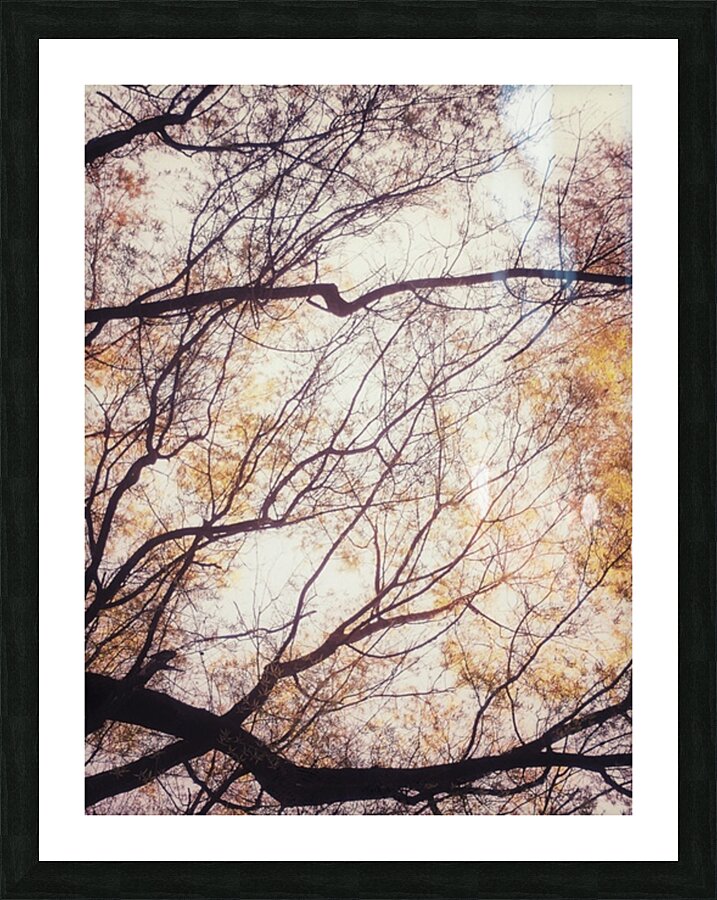 V202 Picture Frame print