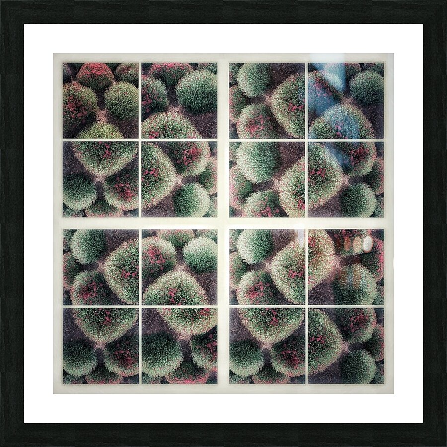 V207 Picture Frame print