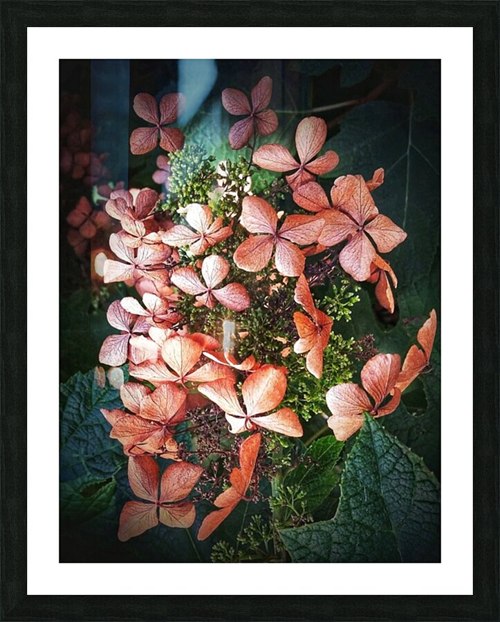 V208 Picture Frame print