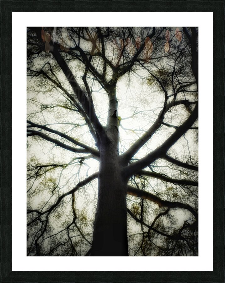 V209 Picture Frame print