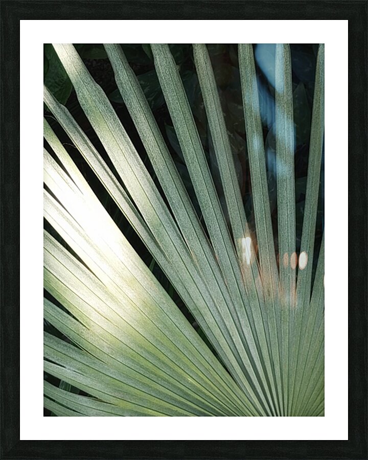 V214 Picture Frame print
