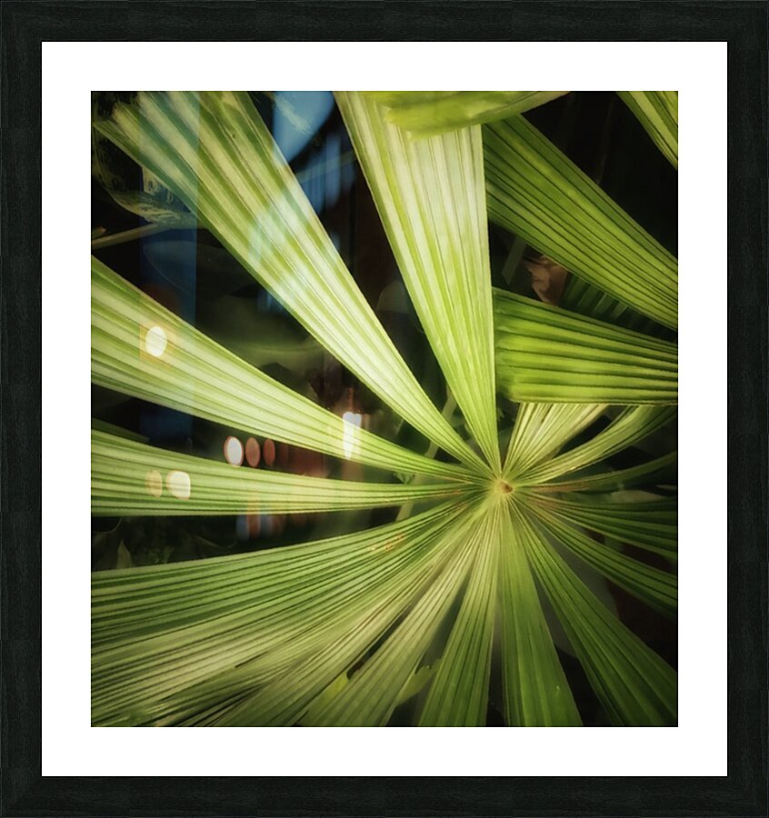 V216 Picture Frame print