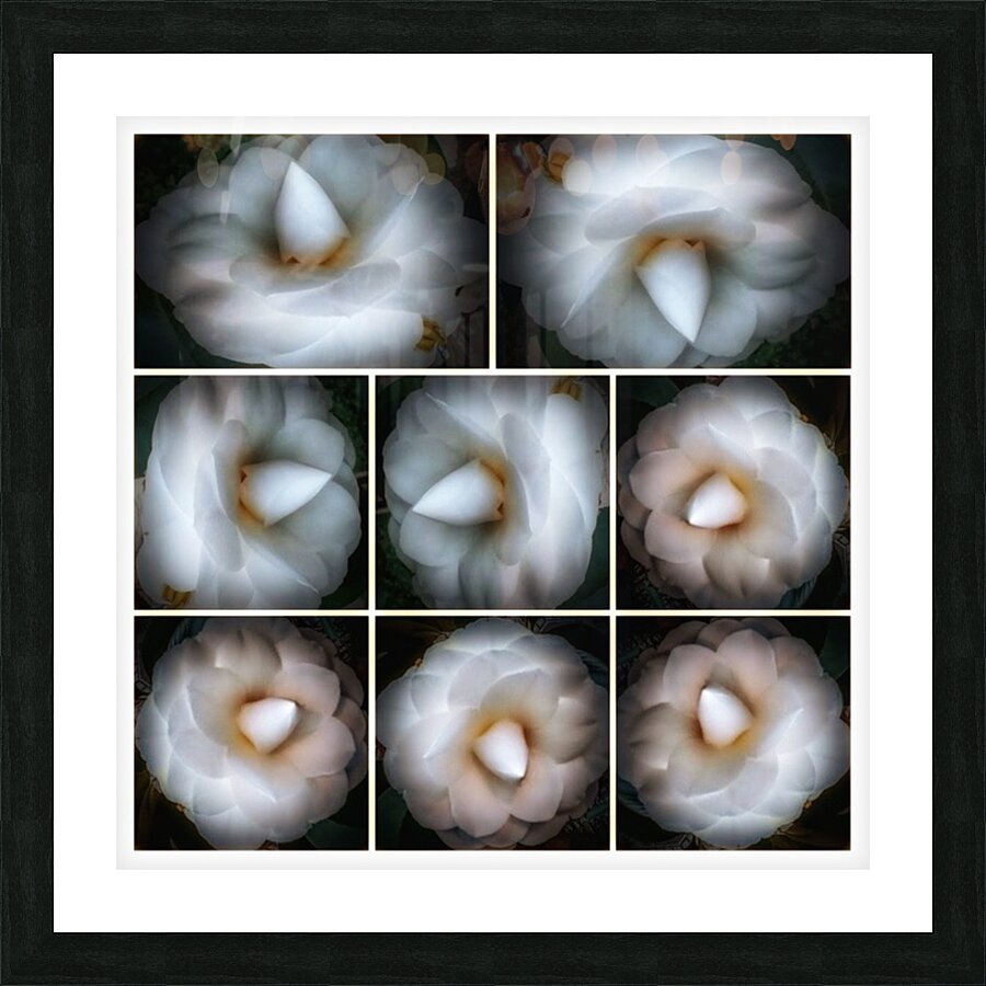 V217 Picture Frame print