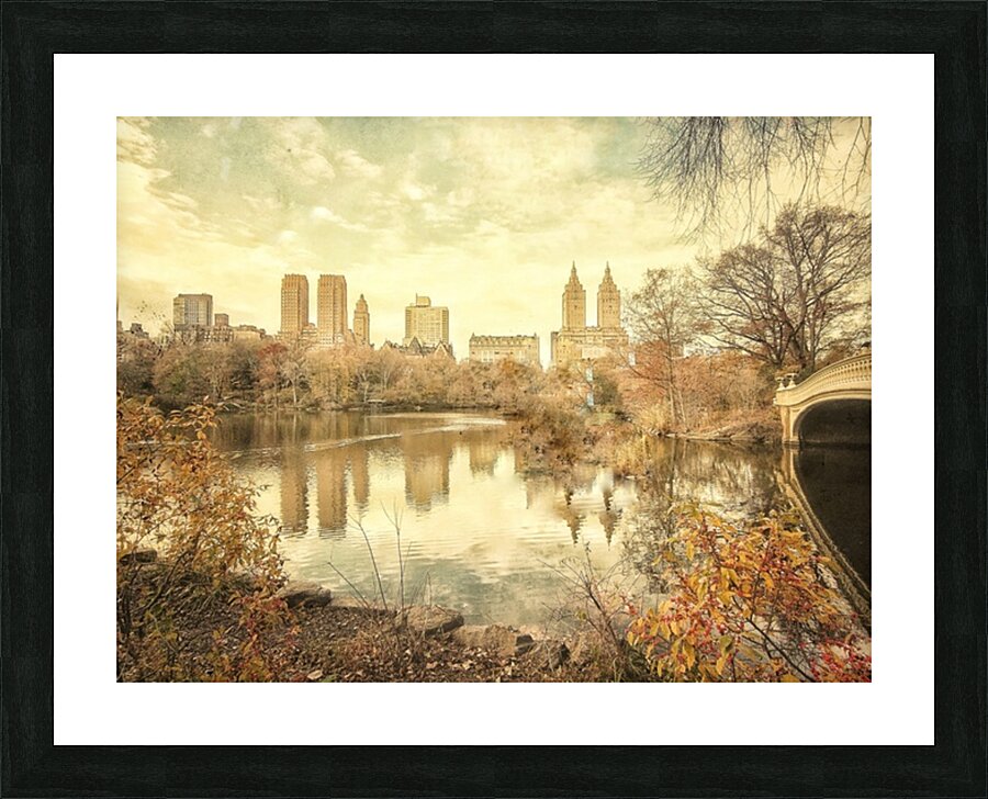 V219 Picture Frame print