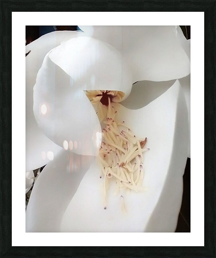 V221 Picture Frame print