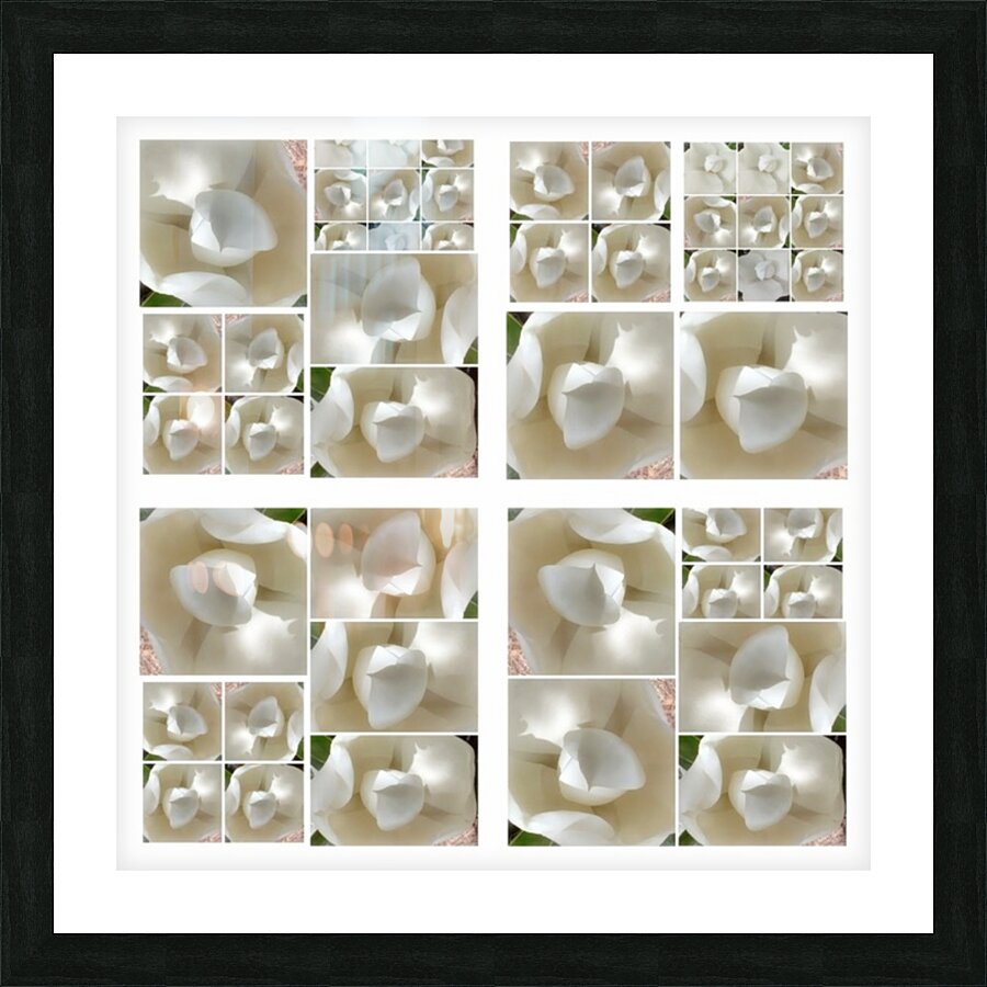 V225 Picture Frame print