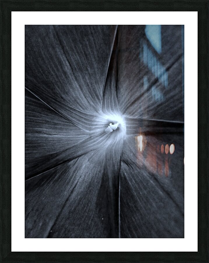 V227 Picture Frame print