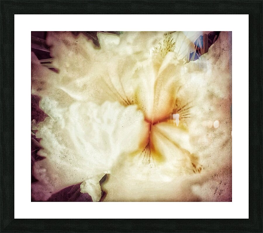 V232 Picture Frame print