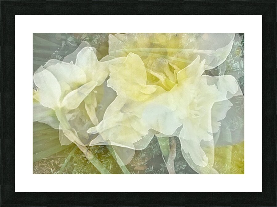V239 Picture Frame print
