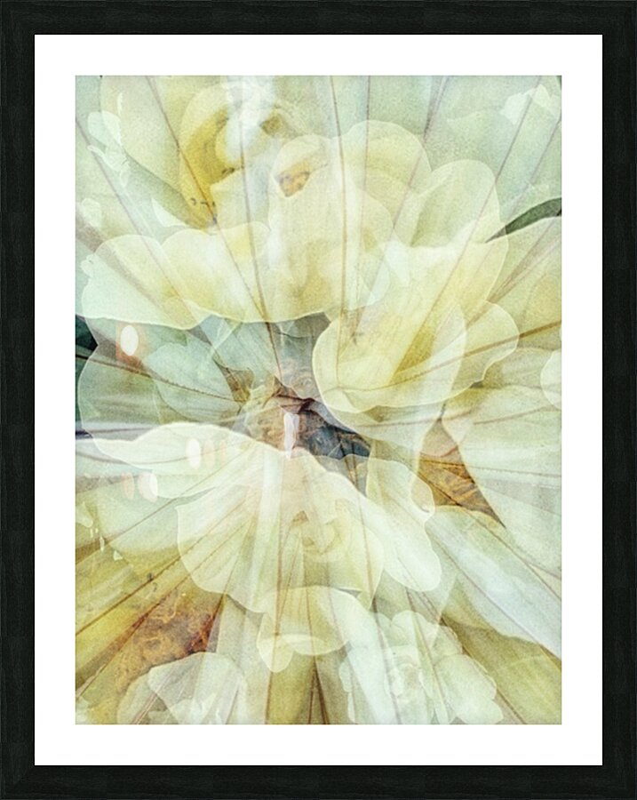V240 Picture Frame print