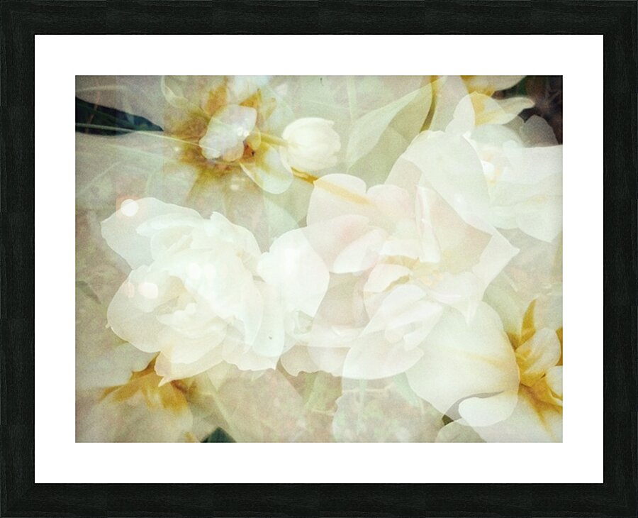 V241 Picture Frame print