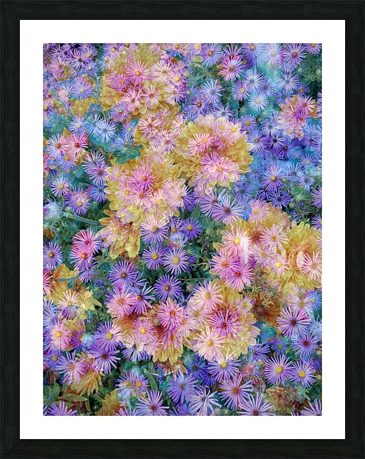 V245 Picture Frame print