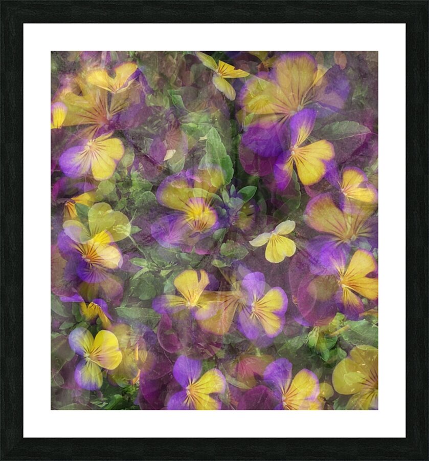 V246 Picture Frame print