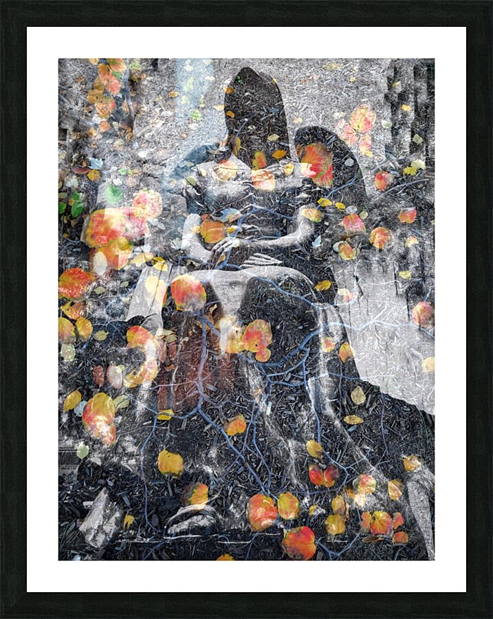 V248 Picture Frame print