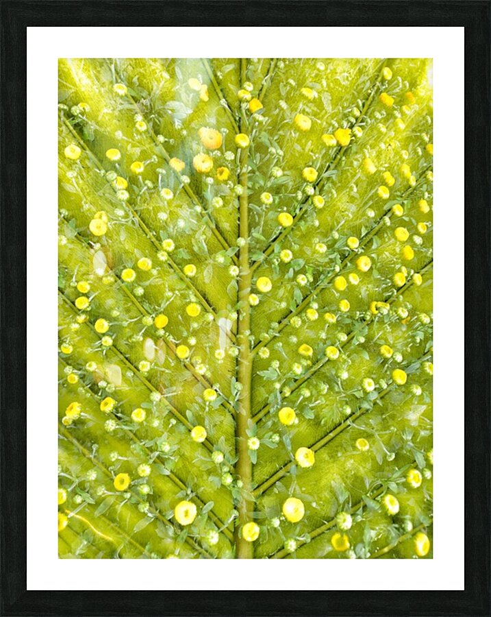 V250 Picture Frame print