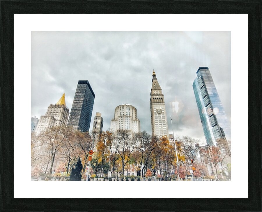 V271 Picture Frame print