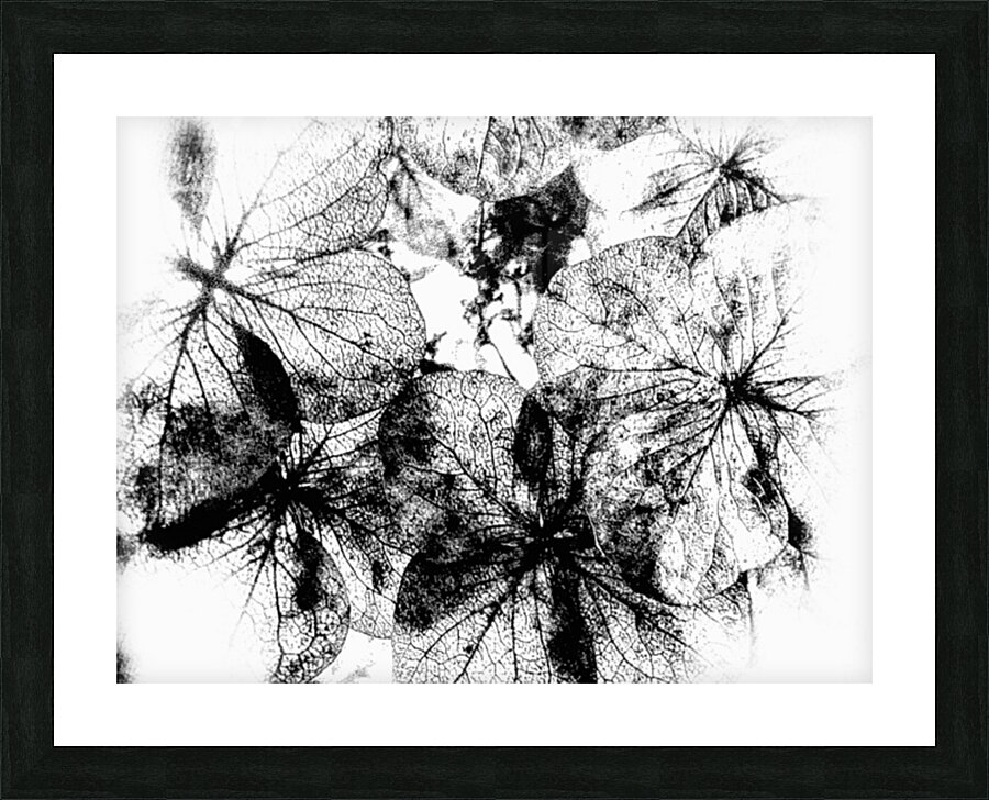 V275 Picture Frame print
