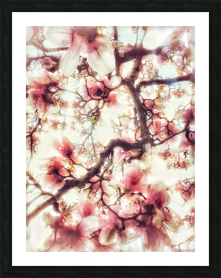 V277 Picture Frame print