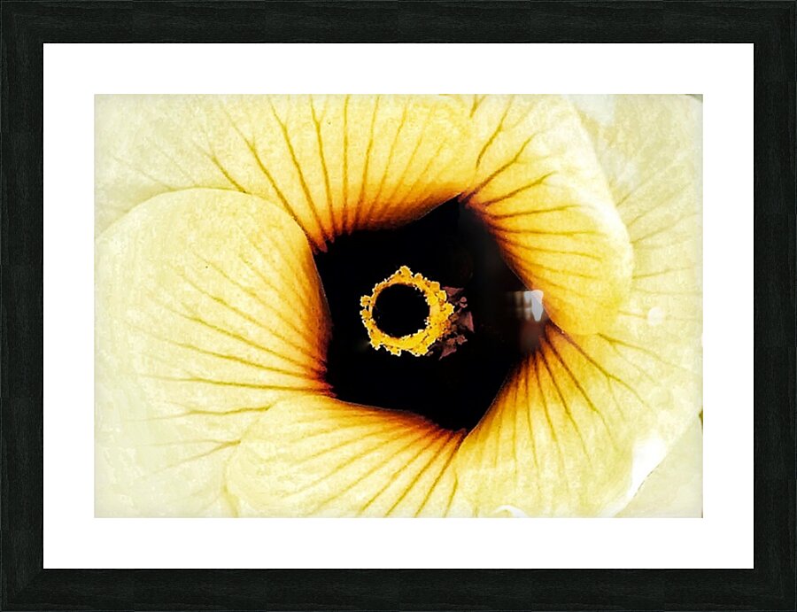 V282 Picture Frame print