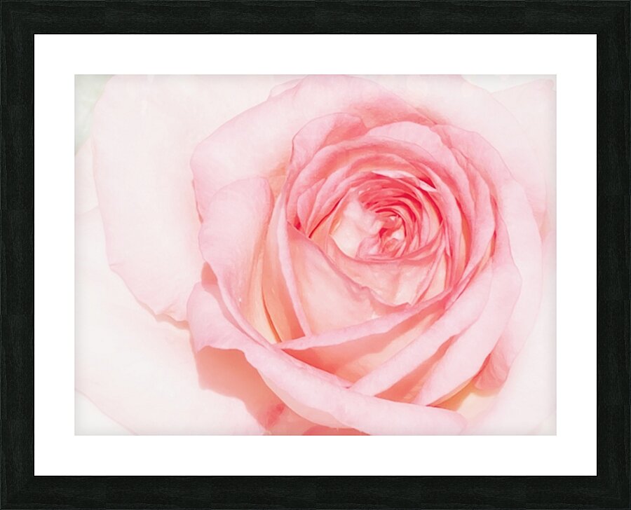 V283 Picture Frame print