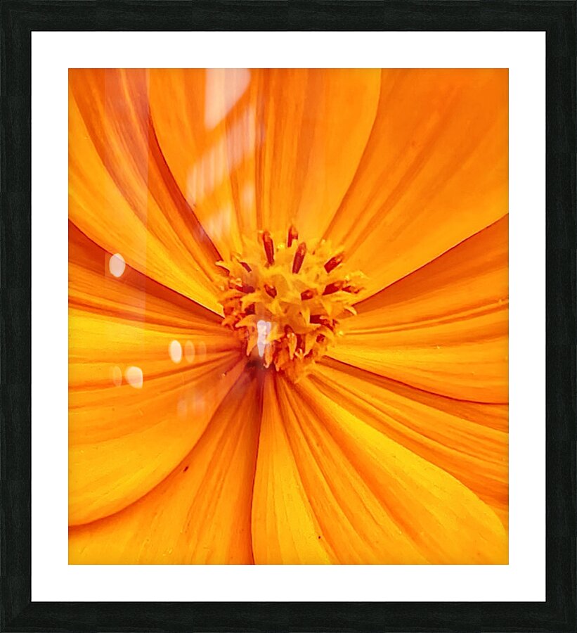 V284 Picture Frame print