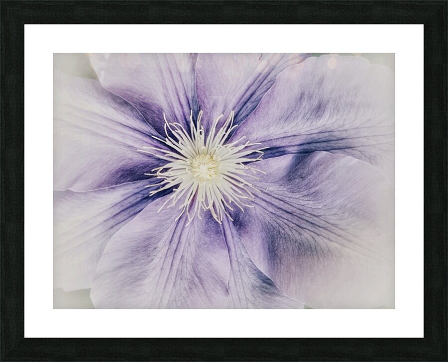 V285 Picture Frame print