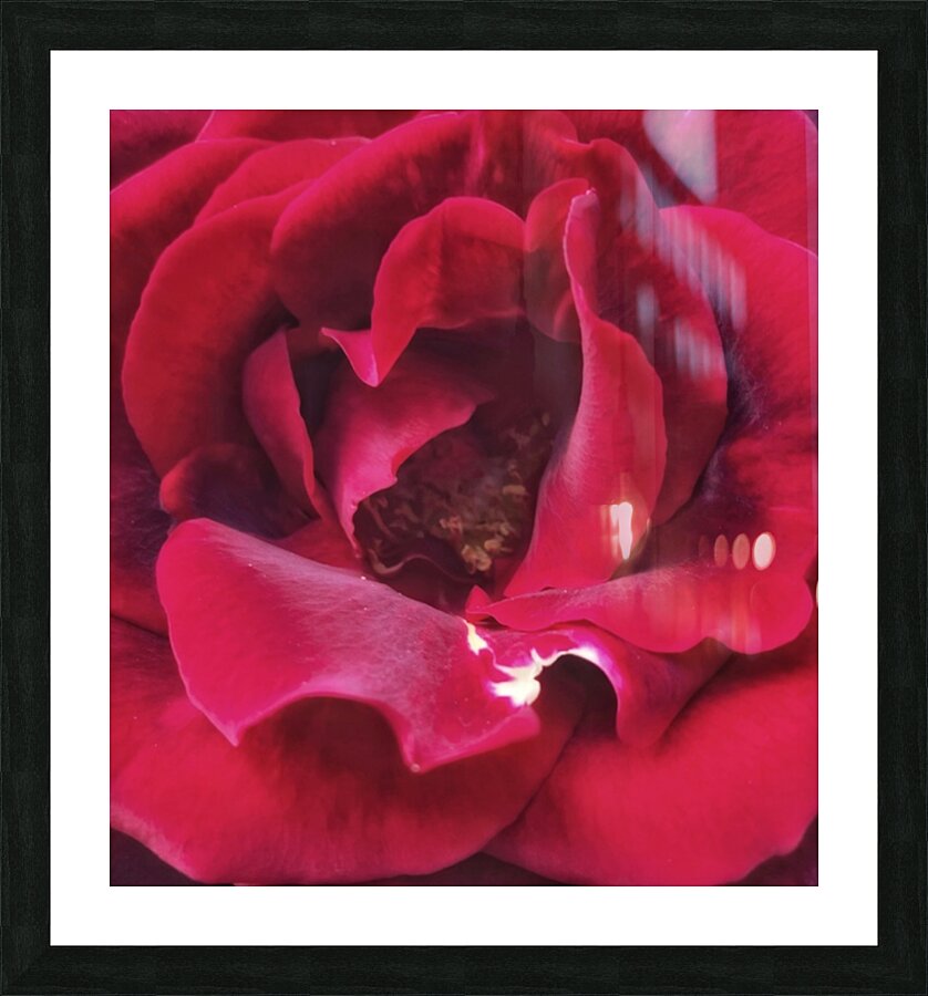 V286 Picture Frame print