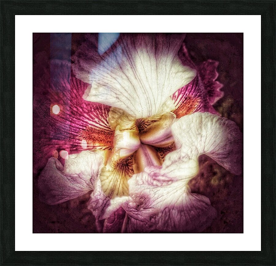 V291 Picture Frame print